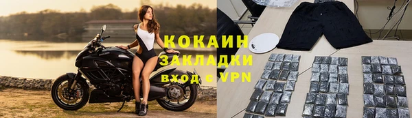 хмурый Абаза