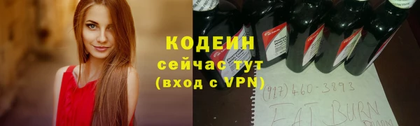 хмурый Абаза