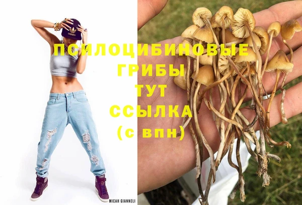 меф Абдулино