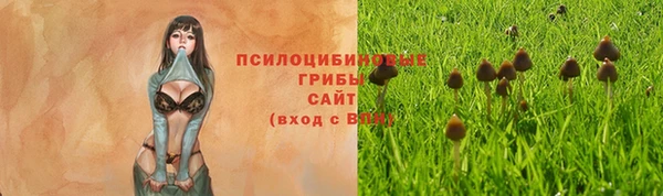 a pvp Алексеевка