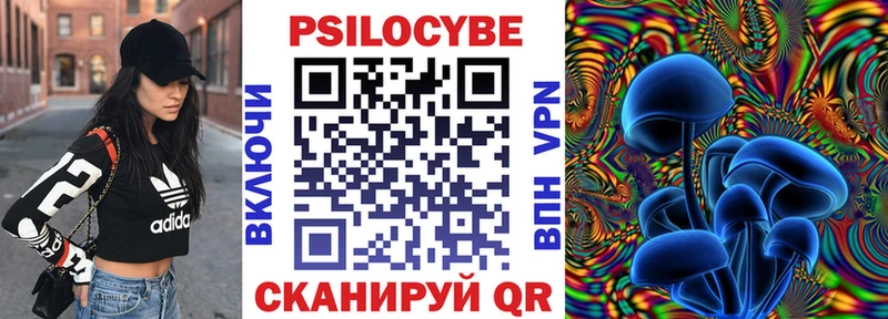 Галлюциногенные грибы Psilocybine cubensis  Ртищево 