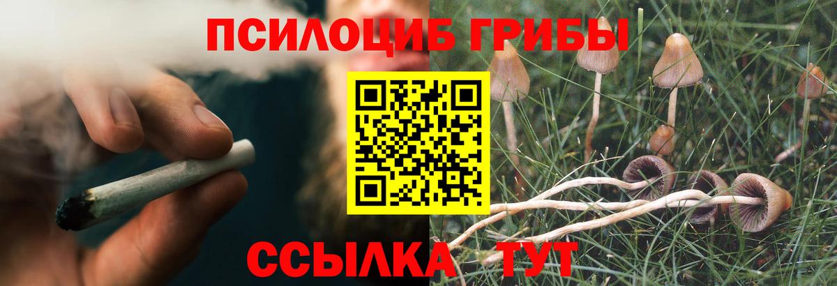 Галлюциногенные грибы Psilocybine cubensis  закладки  Вход с VPN  Ртищево  Псилоцибиновые грибы прущие грибы 